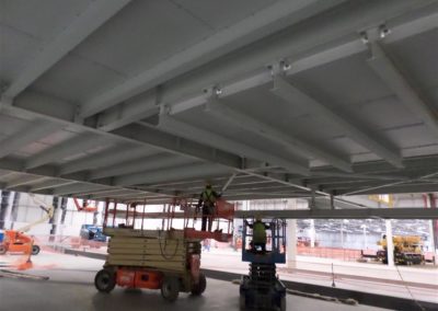 SAM_3379 (Medium)
